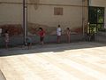 DSC05913