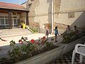 DSC05951