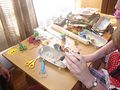 DSC06177